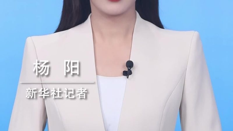 Windows系统下Terraform安装与配置全攻略
